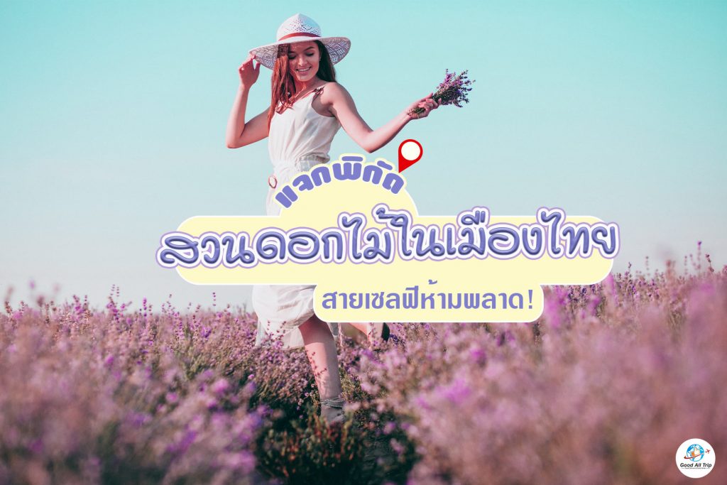 10 พิกัดสวนดอกไม้ในเมืองไทย
