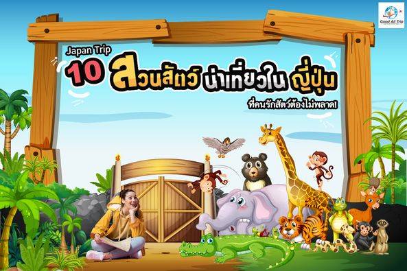 10 สวนสัตว์น่าเที่ยวในญี่ปุ่นที่คนรักสัตว์ไม่ควรพลาด!